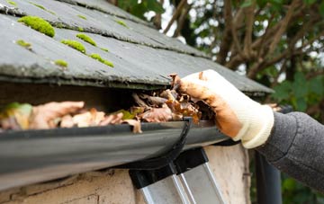 gutter cleaning Westhay, Somerset
