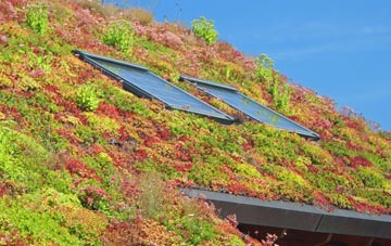 Westhay living roof systems